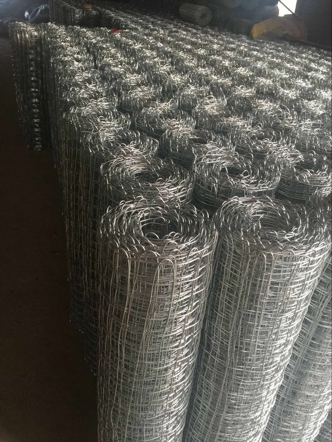 運城金屬經緯網鍍鋅煤礦經緯編織網圖片1